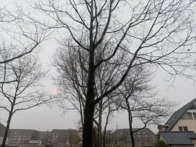 An der Karlstadt - 68