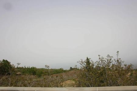 Milomax - 16