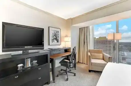 Hilton Anaheim - 60