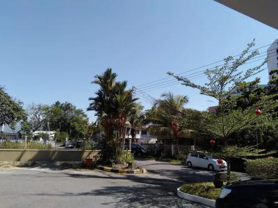 Casuarina - 15
