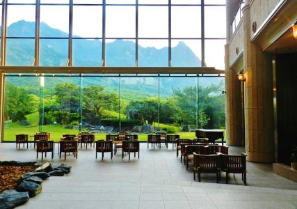Yakushima Iwasaki - 13