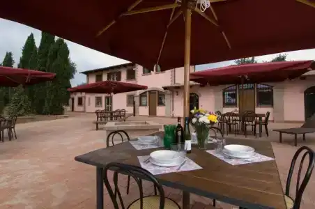 Azienda Agricola Sinisi - 45