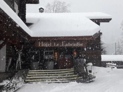 Hôtel Le Labrador - 160