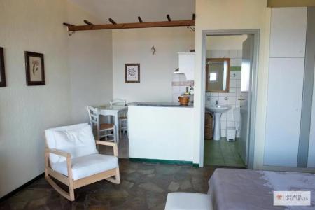 Adrakos  (Adults Only) - 163