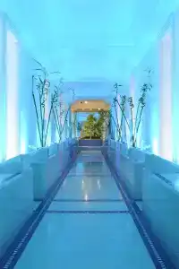 Grand Principe Di Piemonte - 16