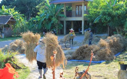 Country Retreat - 14