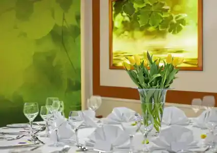 Spa & Wellness Olympia Marienbad - 21