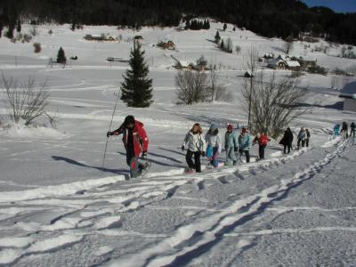 Jezero - 40