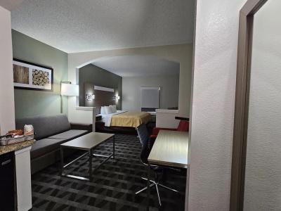 Quality Inn & Suites Dfw Airport South - 38