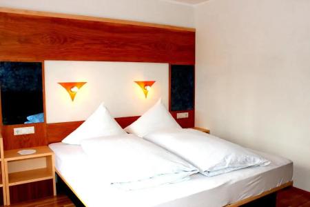 Pension Widmann - 39