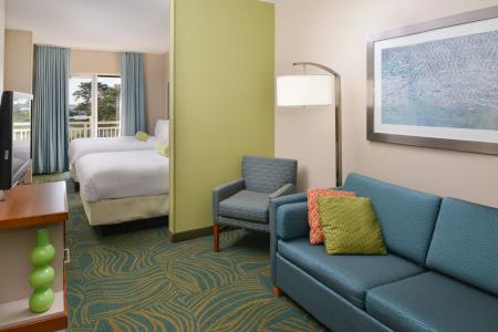 SpringHill Suites by Marriott Charleston Riverview - 37