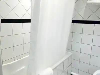 Hôtel Le Capitole - 85