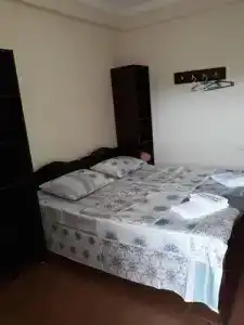 Magnolia Agmashenebeli - 4