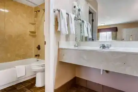 Rodeway Inn - 7