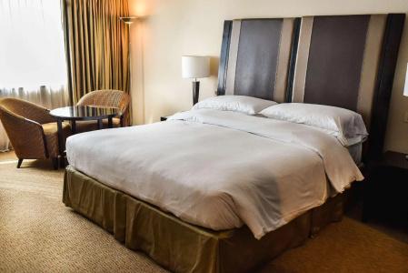 Hilton Buenos Aires - 60