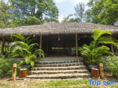 Mango Bay Resort - 199