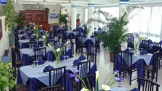 Le Palme - 13