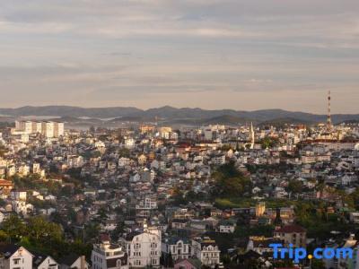 New Life - Da Lat - 219