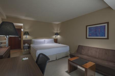 Holiday Inn Puebla La Noria, An Ihg - 32