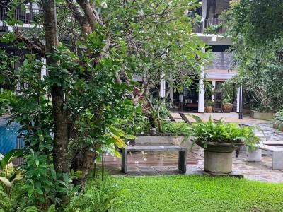 The Postcard Galle - 25