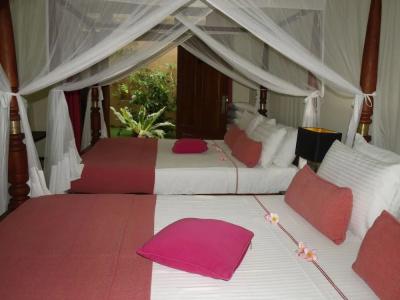 Albert Galle Fort - 2