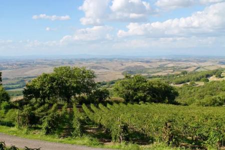Poggio Al Vento - 43