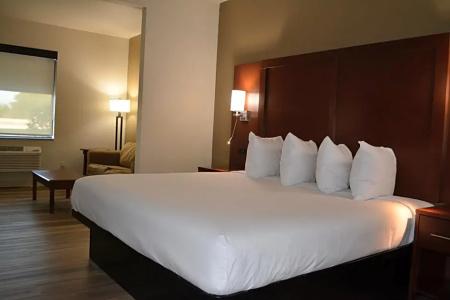 Microtel Inn & Suites by Wyndham College Station - 67