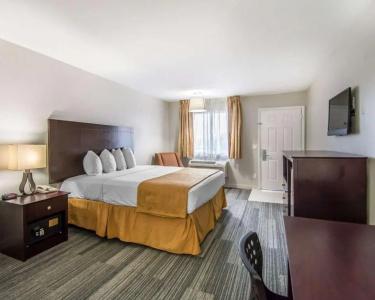 Quality Inn & Suites By the Parks - 49