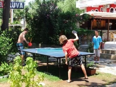 Truva - 13