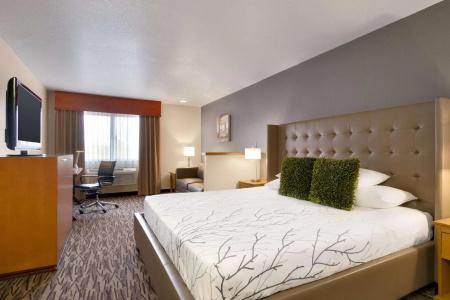 Best Western Plus Peppertree Airport Inn - 50