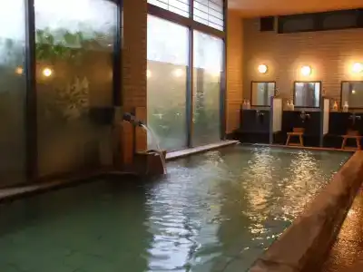 Shiobara Onsen Ryokan Kamiaizuya - 19