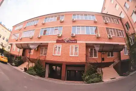 Елена на Краснозеленых - 0