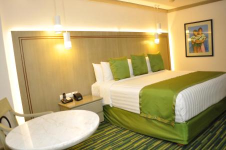 Radisson Paraiso Perisur - 5