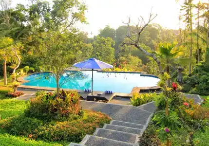 Capung Mas - 10