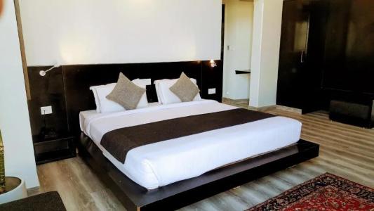 The Saneer Jaipur - 85