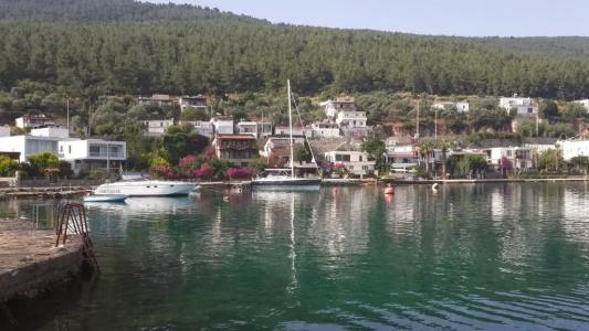 Zena Bodrum - 5