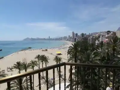 Colón - 28