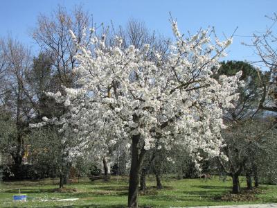 Poggio delle Rose Tuscany Relais - 15