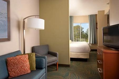 SpringHill Suites by Marriott Charleston Riverview - 52