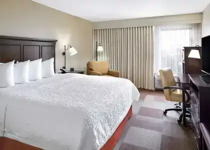 Hampton Inn Dallas-Irving-Las Colinas - 56