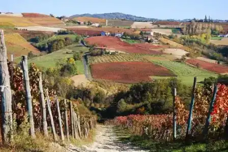 Bed & Breakfast Ai Portici - 12