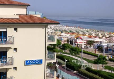 Ascot - 31