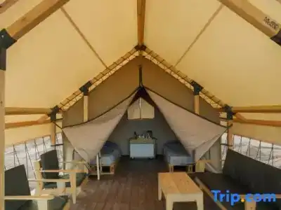 Charyn Canyon Camp - 56