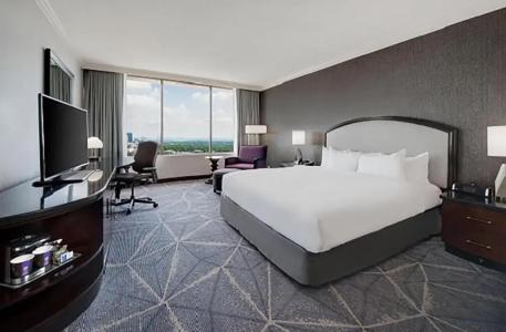 Hilton Atlanta - 29