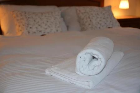 Wellness Vila Bohemia - 95