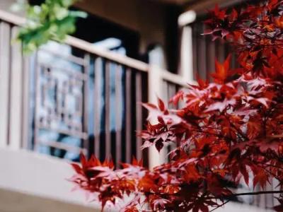 Joy Holiday Lijiang - 3