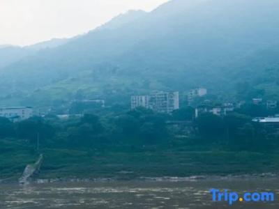Wuyu (Chongqing Jinyun Mountain, Southwest University) - 31