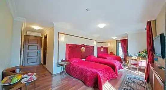 Antea Palace & Spa - 54