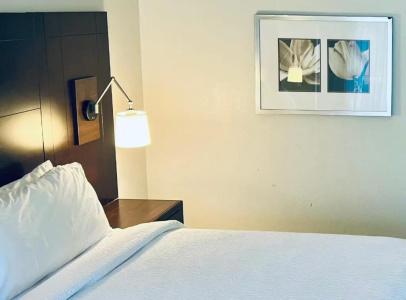 Holiday Inn Virginia Beach - Norfolk, An Ihg - 52