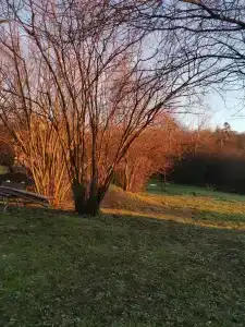 Грушöвая вода - 19